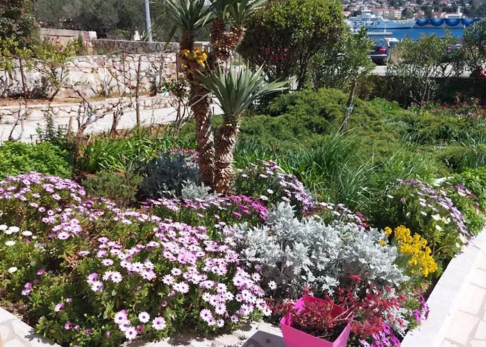 Apartmán Ana Cres